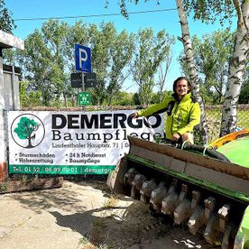 Funkraupe Rodungsarbeiten - Demergo Baumpflege