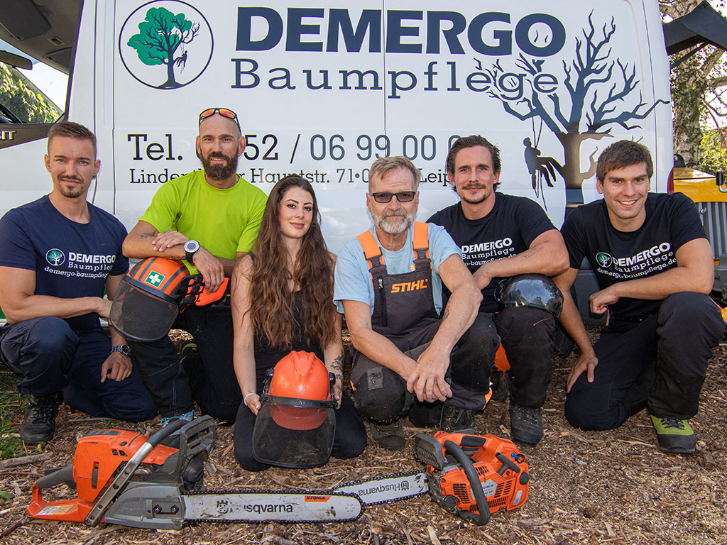 Team Demergo