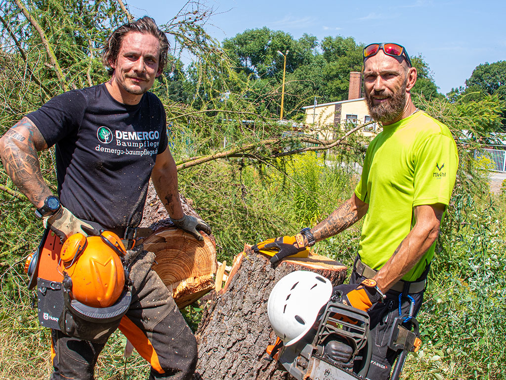 Demergo Baumpflege Team bei Baumfällarbeiten in Leipzig